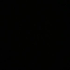 Meet your Posher, Lucy